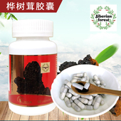 白桦茸胶囊俄罗斯进口西伯利亚森林桦树茸正品 桦褐孔菌冲调饮品