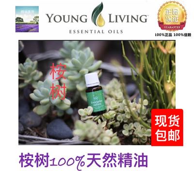 美国纯天然15ml桉树