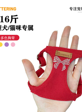小狗狗牵引绳可爱背心式宠物胸背带小型犬比熊泰迪约克夏遛狗链子