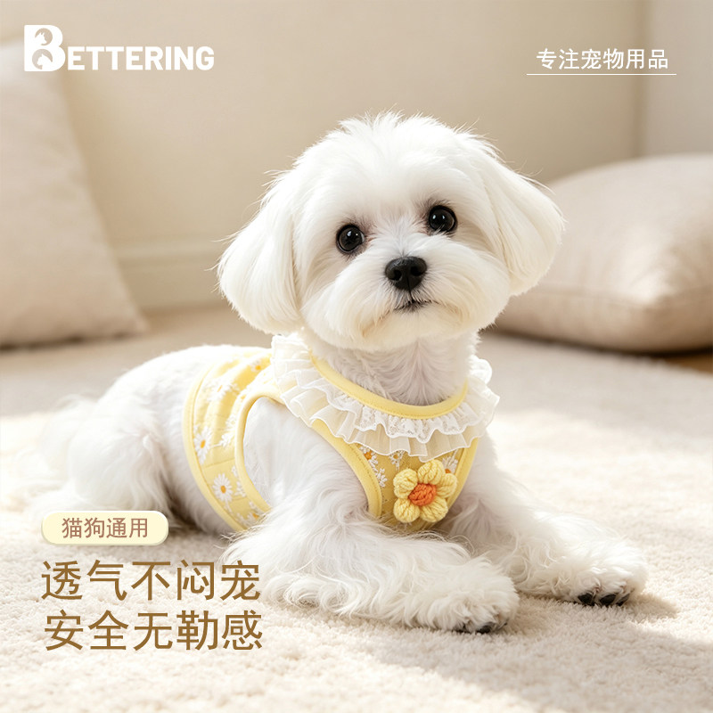 宠物泰迪比熊博美狗狗牵引绳