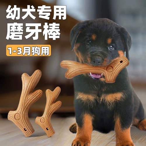 Щенки и собаки, специально молярные игрушки для игрушек с рогами, чистящие зубы