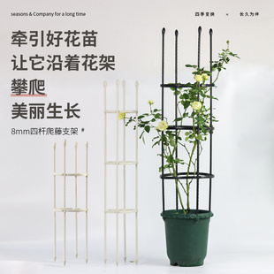 阳台地栽植物爬藤支架三角梅月季龟背竹组合爬藤支架简易四杆支架