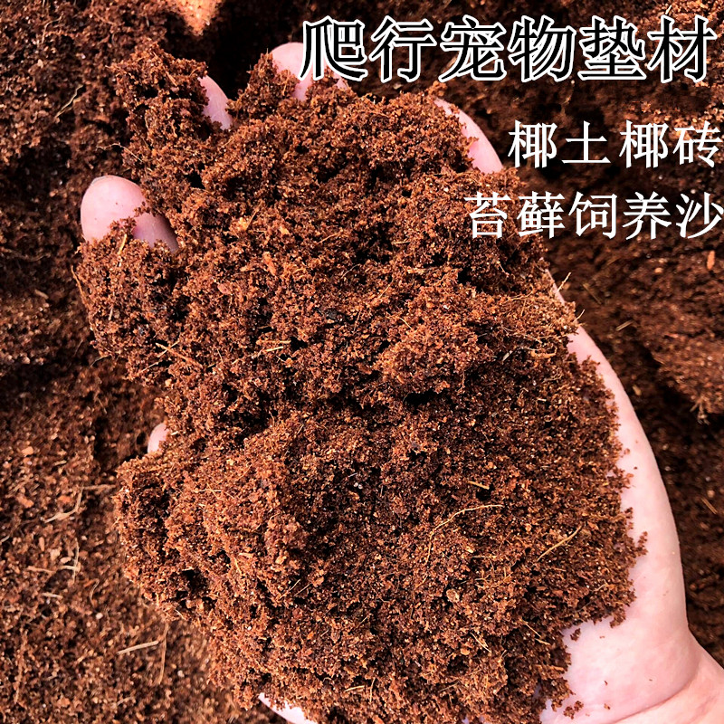 乌龟冬眠陆龟巴西龟箱苔藓椰土