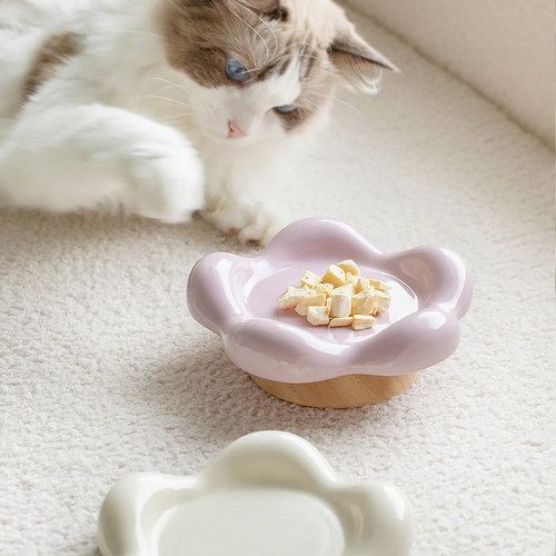 陶瓷花朵猫狗慢食碗可爱治愈