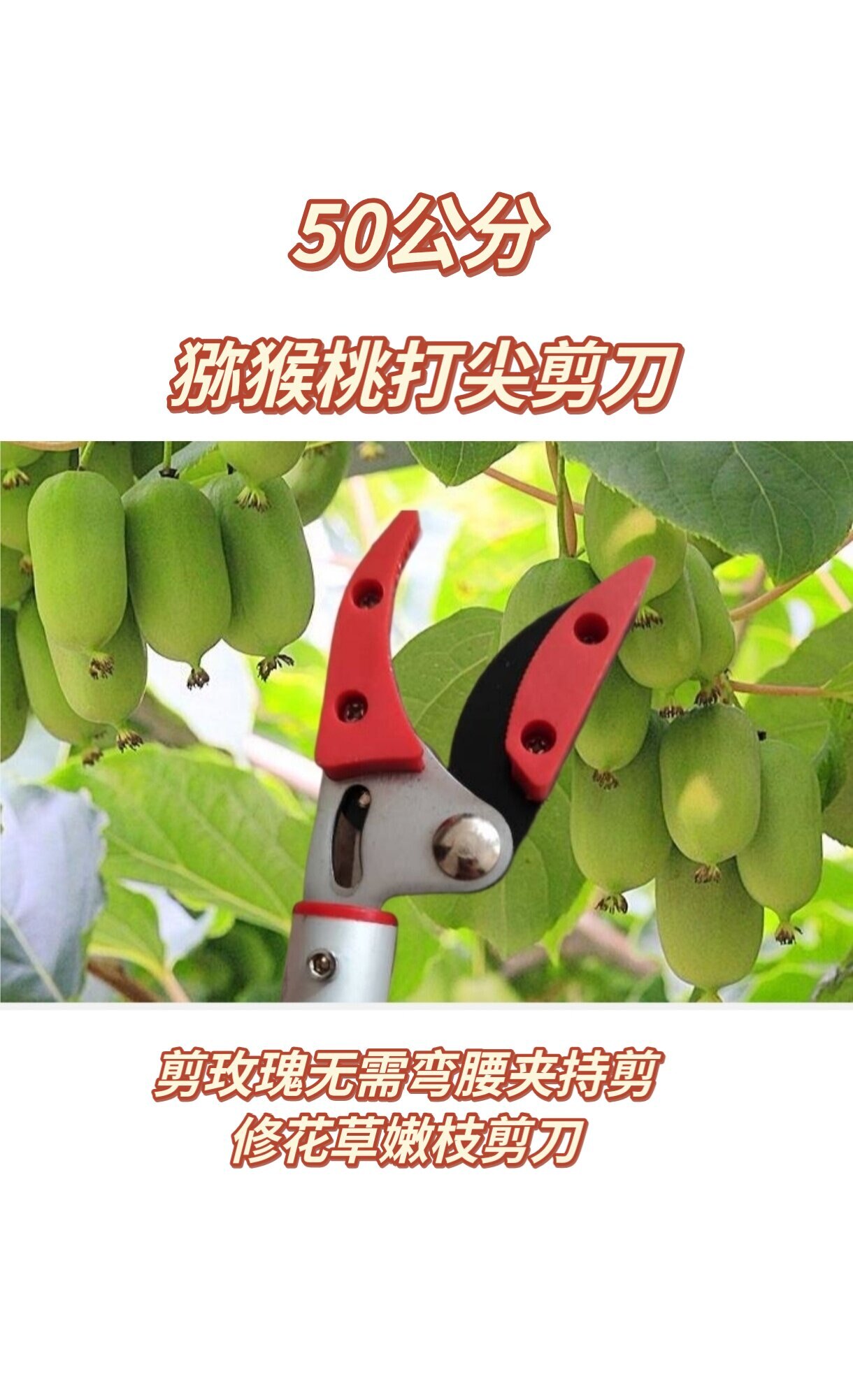 低枝剪玫瑰抬剪猕猴桃打尖神器采花神器摘果蔬长臂剪刀长剪子