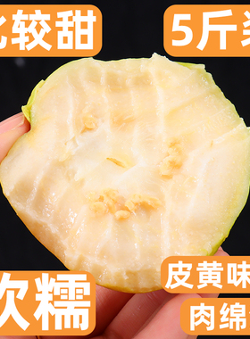 新鲜水果冰淇淋黄金奶油白心芭乐果番石榴软心软糯5斤台湾鸡屎果