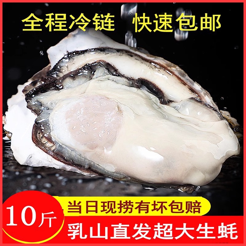 乳山生蚝净重9斤冷链包邮