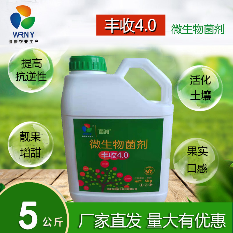 微生物菌剂丰收4.0有机肥5kg枯草芽孢菌含腐植酸农用菌肥菌种防病