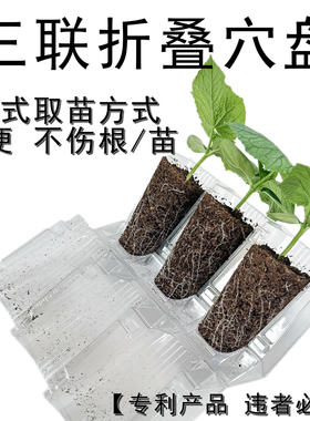 折叠穴盘新式侧开三联播种扦插育苗林木花卉叶插培育高深容器育种