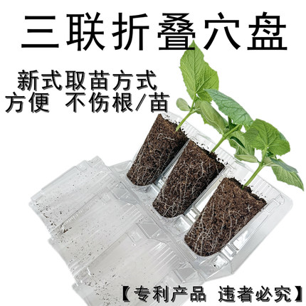 折叠穴盘新式侧开三联播种扦插育苗林木花卉叶插培育高深容器育种