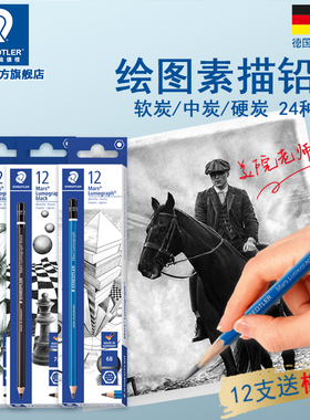 旗舰店德国施德楼100小蓝杆素描工具套装铅笔绘画碳笔2H 12B学生入门绘画4B6B8B炭笔美术生专用2比速写笔软碳