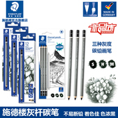 碳笔炭笔美术生专用软炭 画画笔 硬炭 炭笔 素描铅笔速写美术用品专业绘画 中炭笔 施德楼素描铅笔100C炭笔