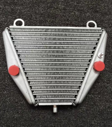 杜卡迪V4 V4sp 油冷器 机油散热器 原厂 拆车件