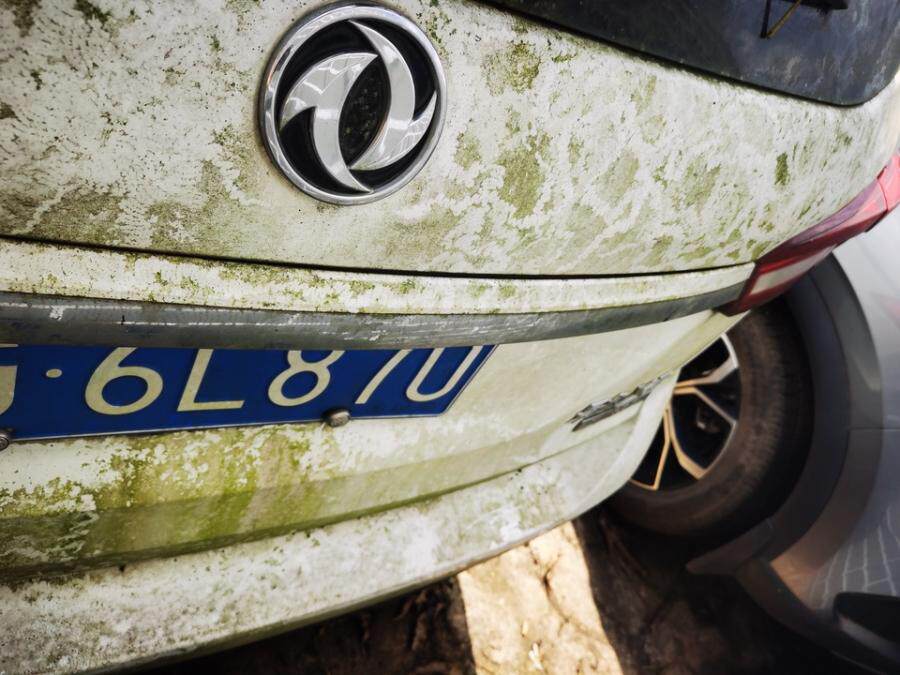 4月19日普洱市涉案云G6L870的东风牌、云JF07288比亚迪牌、云JZS685的雪佛兰牌、云JUU319的长安牌等机动车一批网络拍卖公告