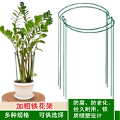 铁艺花植物支撑杆护花架金钱树绣球爬藤植物半圆固定支架防倒伏夹
