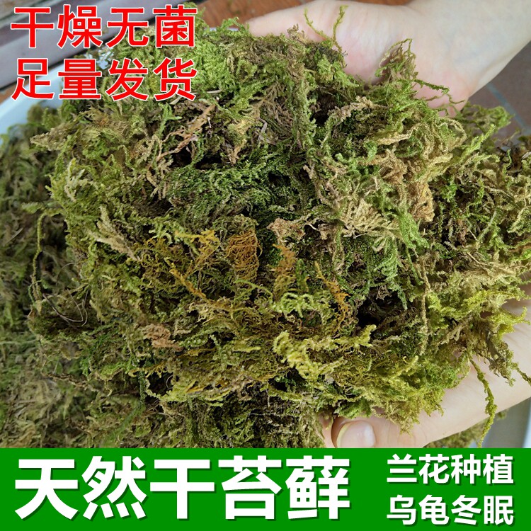 寄居蟹椰土乌龟冬眠用干苔藓爬虫宠物垫材蝴蝶兰花营养土壤植料图片