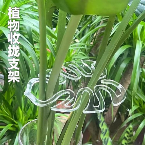 龟背竹春雨植物收拢架植物支撑架水培植物花枝固定神器防倒伏支架