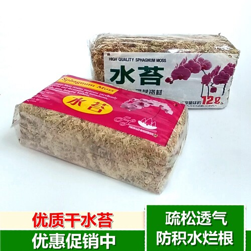 多肉石斛食虫植物嫁接保湿干水苔