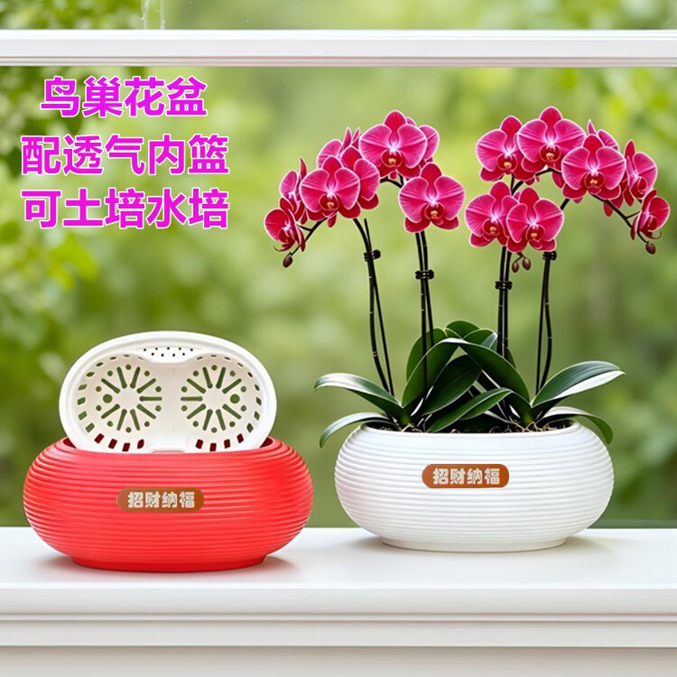 蝴蝶兰专用双层套盆2.8/2.5寸图片