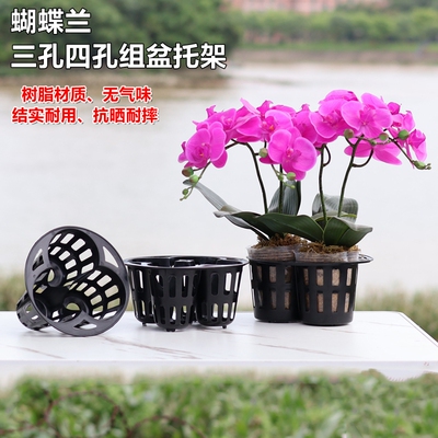 蝴蝶兰托架石斛兰花全新加强托架塑料透气花盆育苗钵营养杯周转盘