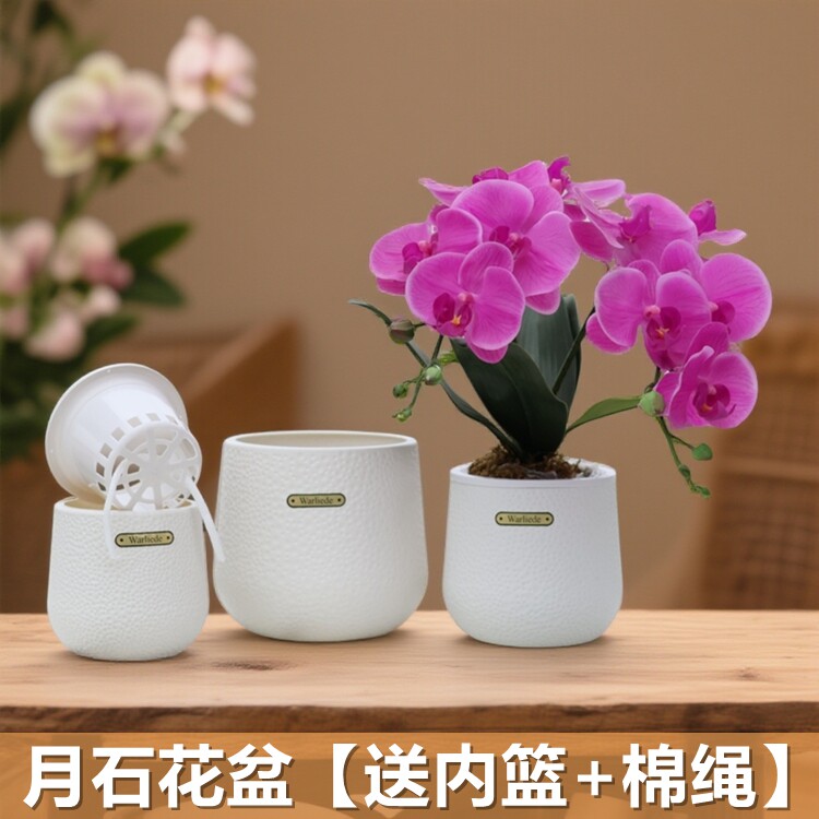 蝴蝶兰花盆多肉绿萝种植定植花钵土培水培自吸水储水套盆仿陶盆图片