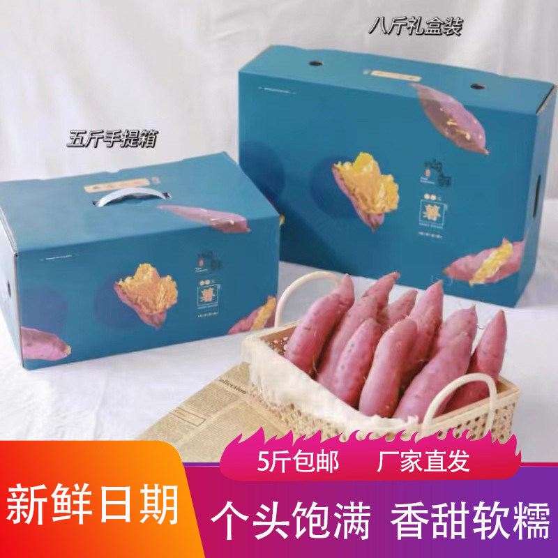 鸣门金时地瓜5斤富晒桥头地瓜板栗味新鲜现挖黄壤糖心沙地糯番薯