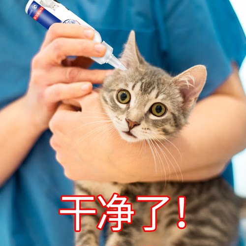 狗狗滴耳液耳螨猫用猫