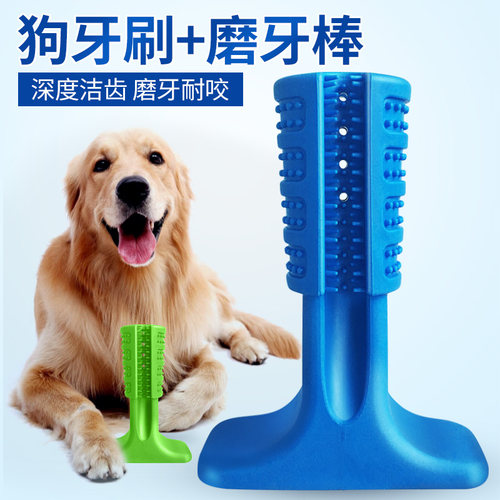 狗狗玩具中型耐咬金毛洁齿磨牙