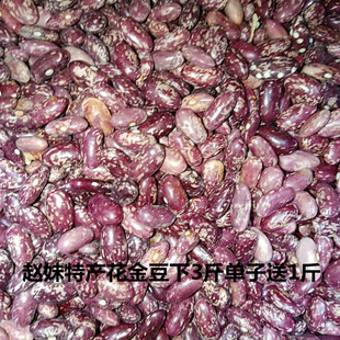 四川赵妹泸州叙永特产宜宾兴文干花金豆1斤下3斤送1斤