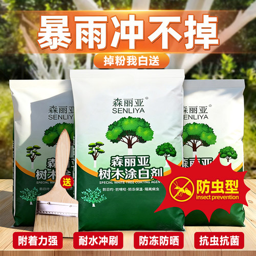 果树树木树干涂白剂暴雨冲不掉