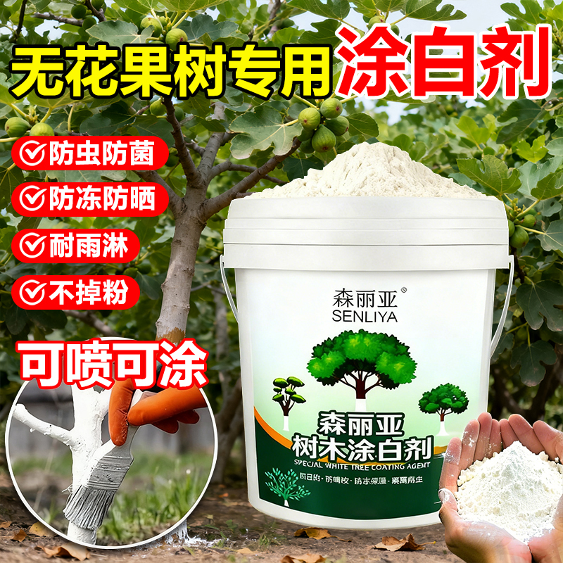 无花果果树涂白剂树木市政园林