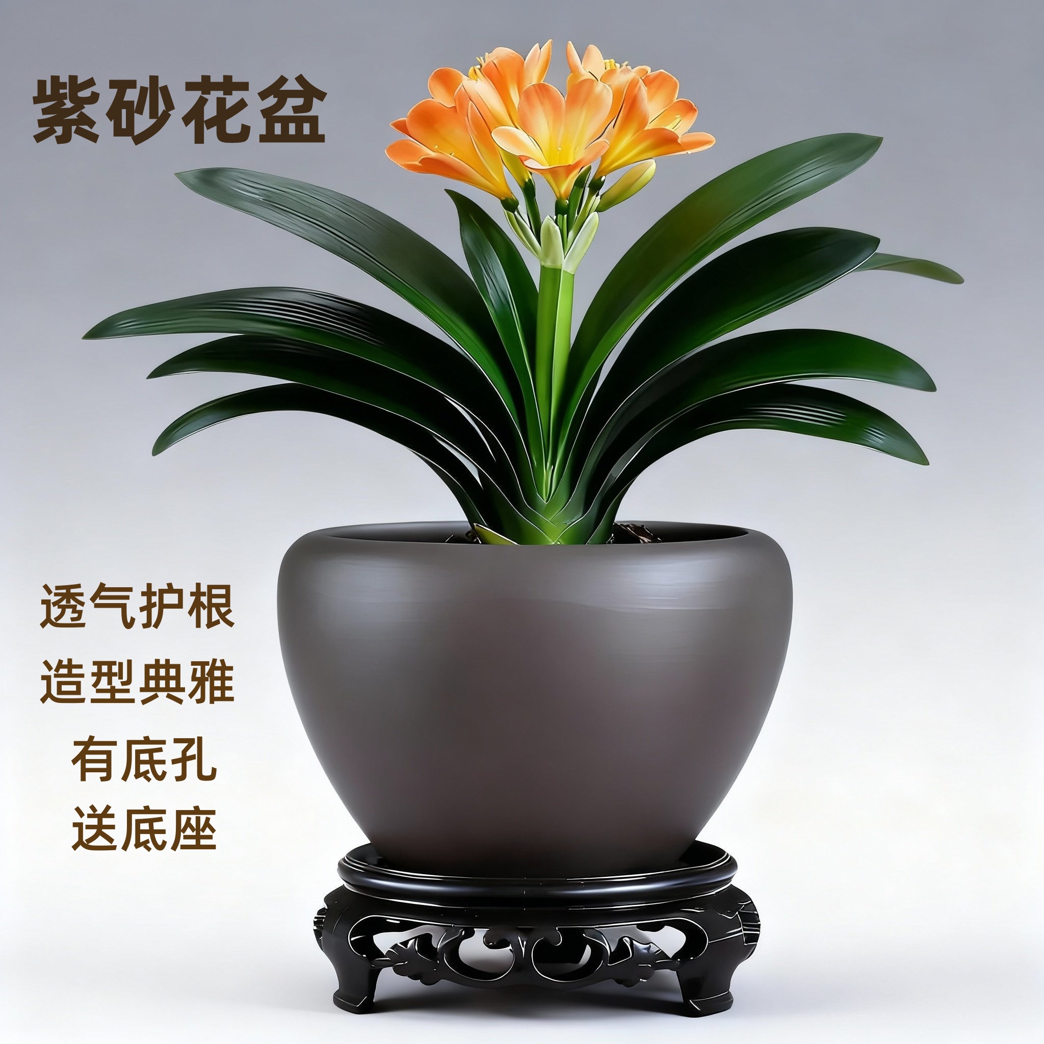 花盆陶瓷紫砂盆透气盆景大号蝴蝶兰多肉君子兰专用绿植底座罐室内