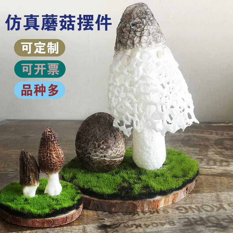 仿真假野生菌蘑菇标本模型菌菇菌子野生菌展厅样板间博物馆展示