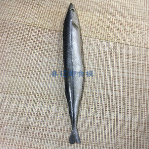 仿真秋刀鱼模型各种海鲜鱼类食物模样定制PVC材质道具样品2只包邮