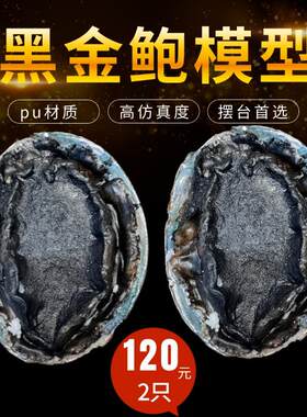 仿真黑金鲍大鲍鱼模型道具