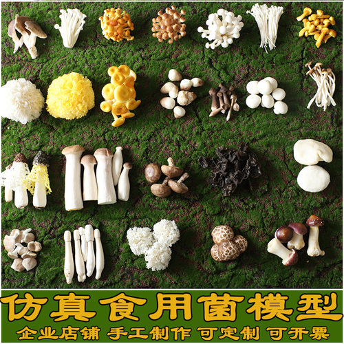 仿真食用蘑菇菌模型道具场景搭配