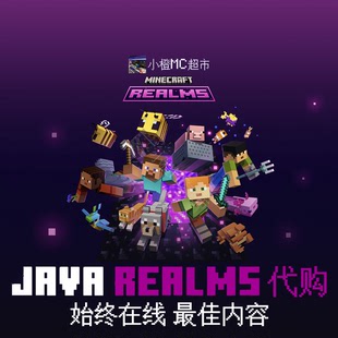 我的世界 Minecraft Java 领域服 正版Realms服务器代购 超强性能