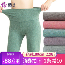 大码秋裤女胖mm薄款紧身200斤内穿少女土线裤加长高个子超长高腰