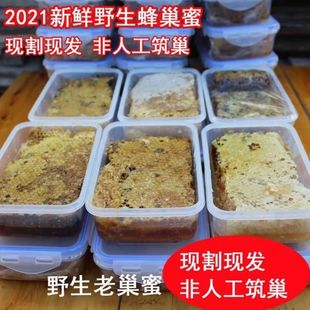 野生蜂巢蜜嚼着吃老巢蜜纯正天然农家自产巢蜜正宗土蜂蜜500g盒装