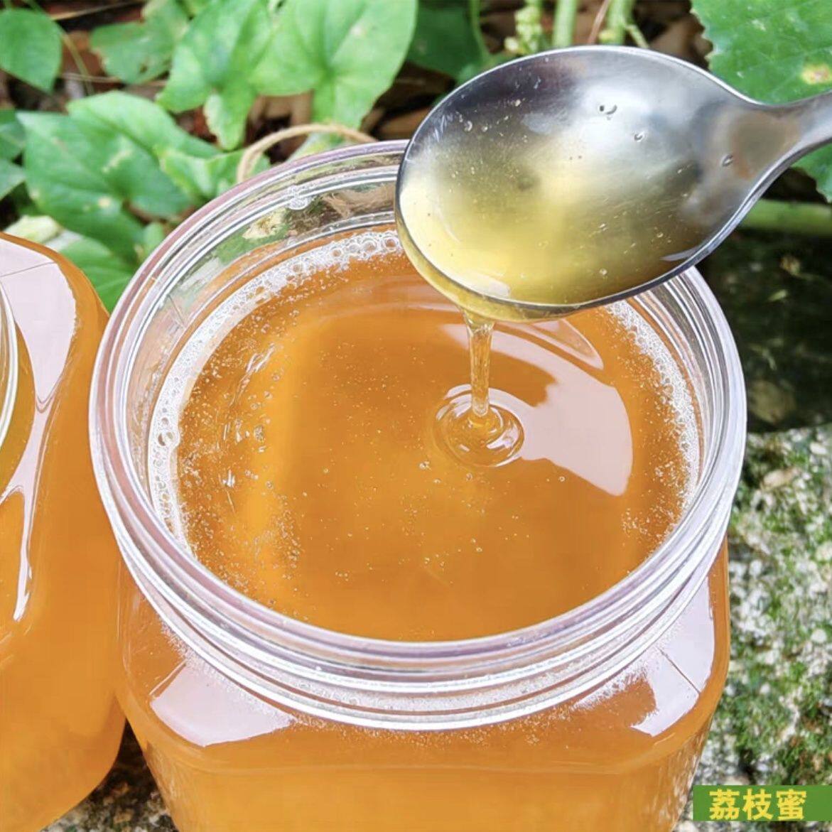 1000g真蜜正宗枇杷蜜土蜂蜜纯正天然从化蜜糖冬蜜原蜜峰蜜糖