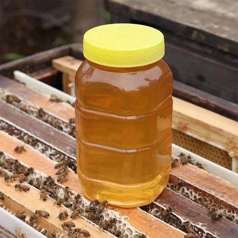 广东中蜂蜂蜜纯正天然 桉树蜜荔枝蜜龙眼蜜 土蜂蜜百花蜜食用巢
