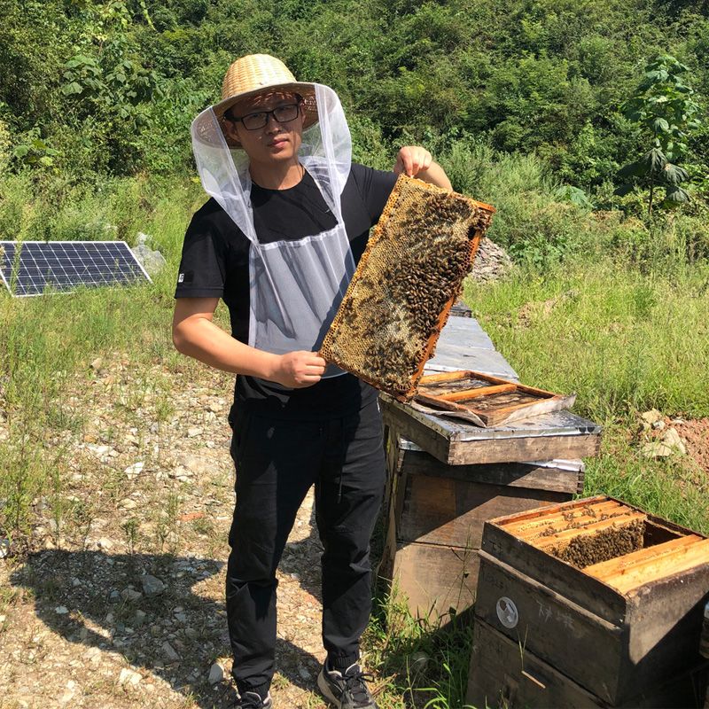 【直播现割】深山老蜂巢蜜 或 嫩蜂巢蜜 500g