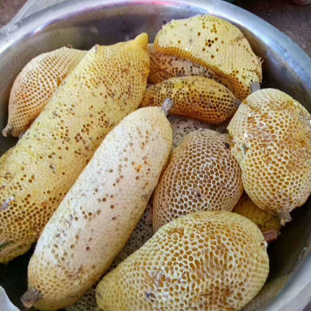 云南临沧野生蜂蜜小挂蜜土蜂蜜悬崖蜜黑蜜纯正天然蜂蜜过滤瓶装蜜