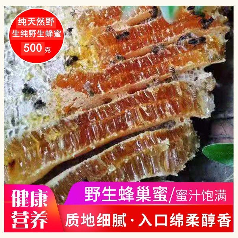 甘肃野山采割纯正天然野生土蜂蜜深山大自然花蜜百花蜜蜂巢蜜盒装