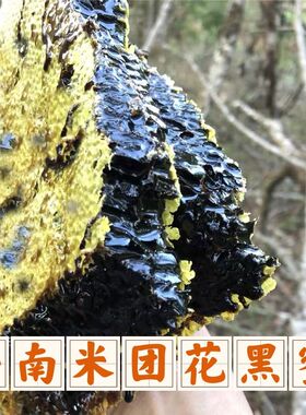 云南蜂蜜真天然土蜂蜜原生态野生米团花黑蜜高山野蜂蜜孕妇