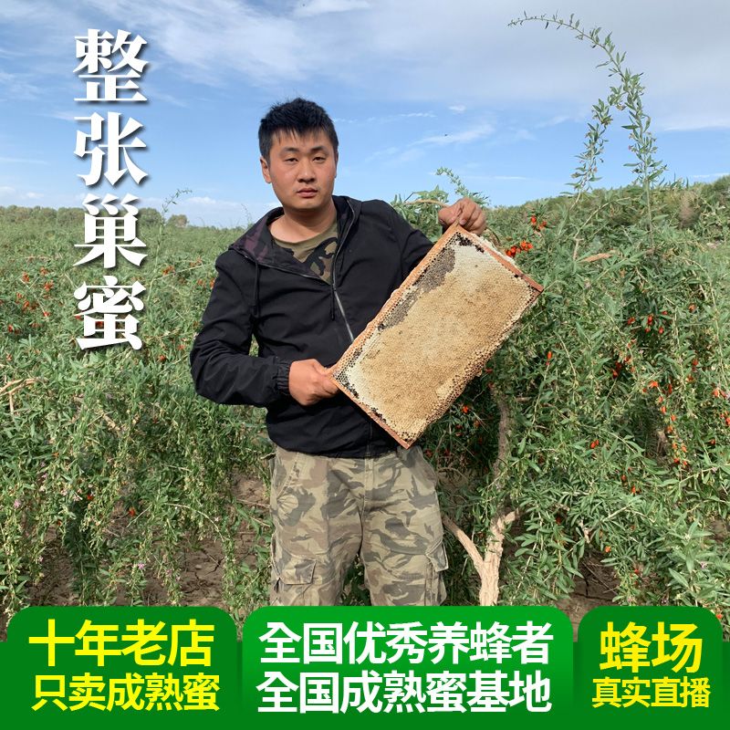 一整张更实惠 老蜂巢蜜新巢蜜 青海枸杞巢蜜 农家自产天然