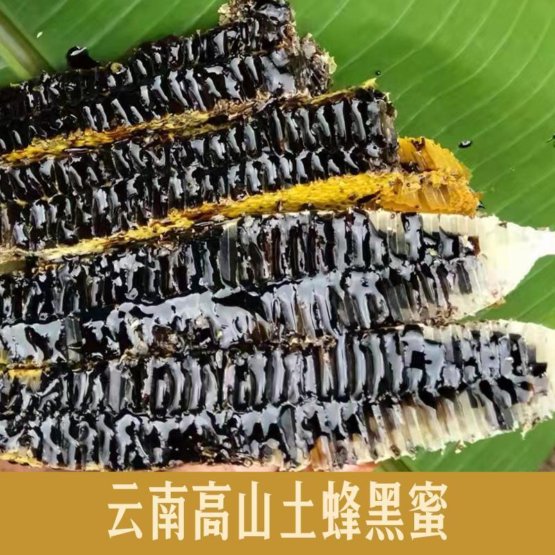 云南高山黑蜜 米团花蜜 野生土蜂蜜深山成熟天然中药材米团花黑蜜