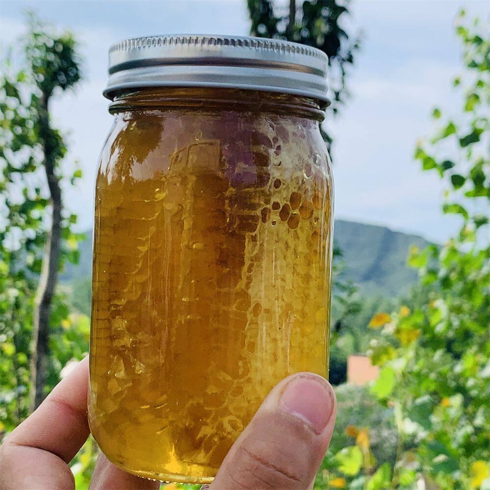 云南原产纯野生小挂蜜天然深山小草蜂排蜜蜂巢蜜嚼着吃土蜂蜂窝蜜