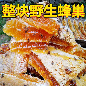 蜂巢蜜嚼着吃整块纯真野生蜂蜜天然百花蜜蜂窝盒装野生土蜂蜜老巢