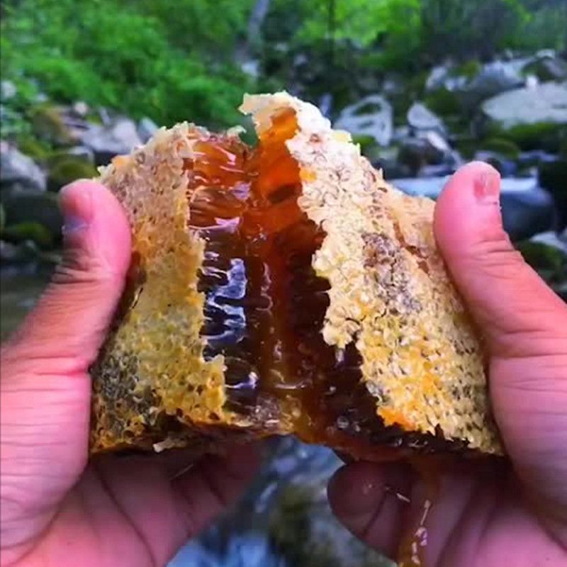 山里现掏野生蜂巢蜜农家自产纯正天然巢蜜